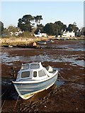 SX9780 : Boat, Cockwood by Derek Harper