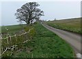 Stygate Lane near Pickwell