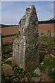 S6541 : Ogham Stone by kevin higgins