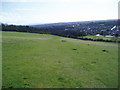 Footpath from Cissbury Ring to Findon Valley