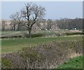 View towards Alpine Cottages