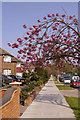 Pavement, Chaseville Park Road, London N21