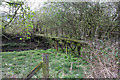 Old footbridge over the Nut Brook