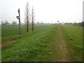 Ouse floodbank