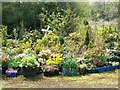 Flower garden, Ram Inn, Potters Pond, Wotton under Edge