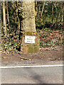 Milestone on B4194 to Bewdley