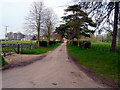 Barton Stacey -  The Road To Cocum Farm