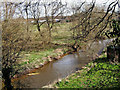 River Stour near Upper Mitton Bridge