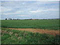 SE9214 : Looking towards Low Risby by David Wright
