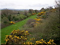 Disused Railway Line towards Jerrettspass