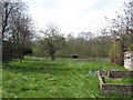 Old fashioned garden in Mill Lane