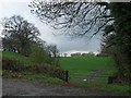 Field Track and a distant Emley Moor TV mast