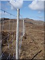 NG8368 : Deer fence on the Gairloch estate by Roger McLachlan