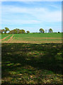 Fields near Three Lanes End Farm