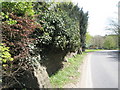 Buttresses bolster ancient wall at Trotton