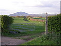 Entrance to the bridleway