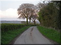 Leaving Westwood Farm