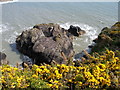 SM7423 : Rocky coastal feature by Carol Rose
