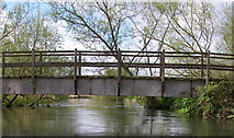 SU1412 : Footbridge over the Avon by Barry Deakin