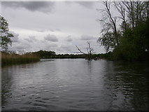 SU1406 : River Avon by Barry Deakin