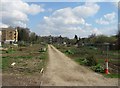 SU6451 : Russell Road allotments by ad acta
