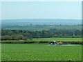 2008 : Crop spraying near Kingsdown