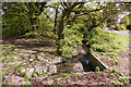 Stream, wooded area, Lonsdale Drive, Enfield