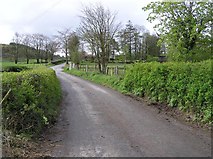 H6341 : Road at Killylough by Kenneth  Allen