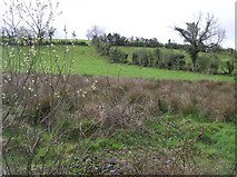 H6240 : Killylough Townland by Kenneth  Allen
