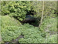 Cherry Hinton Brook bridge