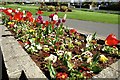 Flower bed, Whitehead