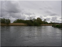 SU1403 : River Avon by Barry Deakin