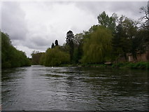 SU1303 : River Avon above Avon Castle by Barry Deakin