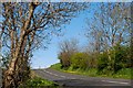 The Bridge End Road near Ballycarry (2)