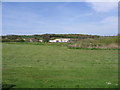 View to Langdane Woods from the Great Stour