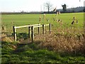 Public footpath near Ampton Water