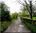 SE1226 : Bridleway near Church - Coley Road by Betty Longbottom