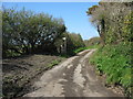 Public footpath to the Llyn Coron from Lon y Felin