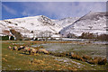 Towards Blease Gill