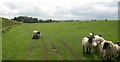 Residents, Stocklow Manor Farm