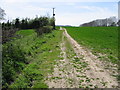 Route of the Stour Valley Walk towards Mystole Lane