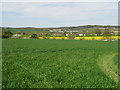 Looking N across the fields to Shalmsford Street