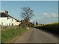 Houses at Trims Green