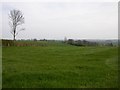 SP4170 : Farmland at Frankton by Ian Rob