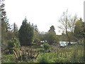 Garden-lake at Pen-y-bont