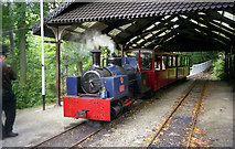 SC4178 : 'Jack' on the Groudle Glen Railway by Dr Neil Clifton