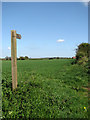 Footpath to Edingthorpe