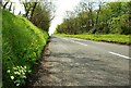 The Burnquarter Road near Ballymoney