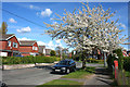 Cemetery Road housing estate, Weston