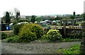 Allotments - Waterloo Road